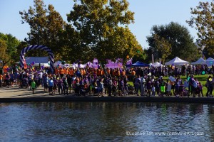 View of the crowd commencing the walk